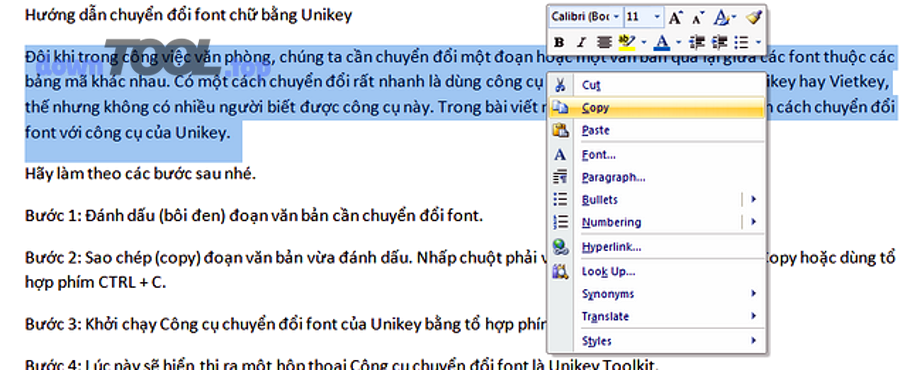 Copy đoạn văn bản trước khi chuyển mã VNI sang Unicode bằng UniKey Toolkit