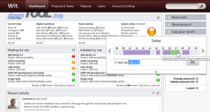 Wit project management dashboard screen 4