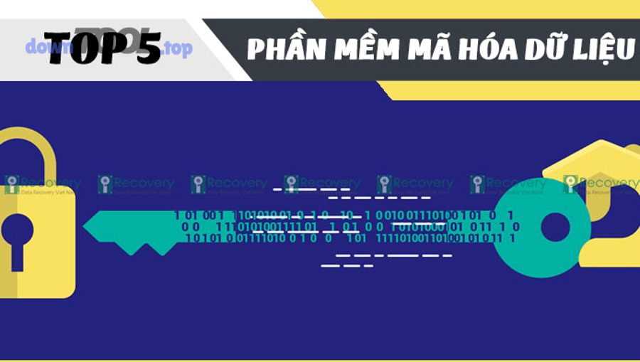 Tiêu chí chọn phần mềm mã hóa dữ liệu phù hợp Search Intent
