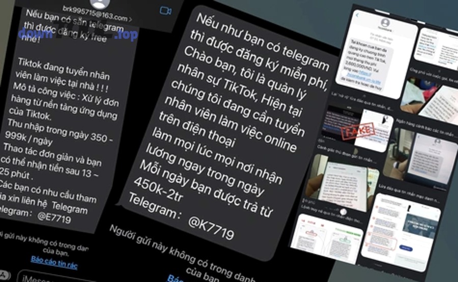 Minh họa template chữ ký và nhận diện thương hiệu trong email