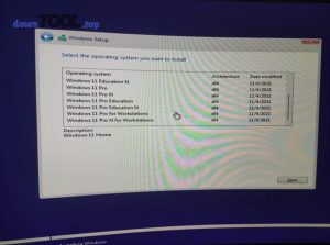 which windows to use 11 pro or 11 pro n v0 xcs1lgc19h391