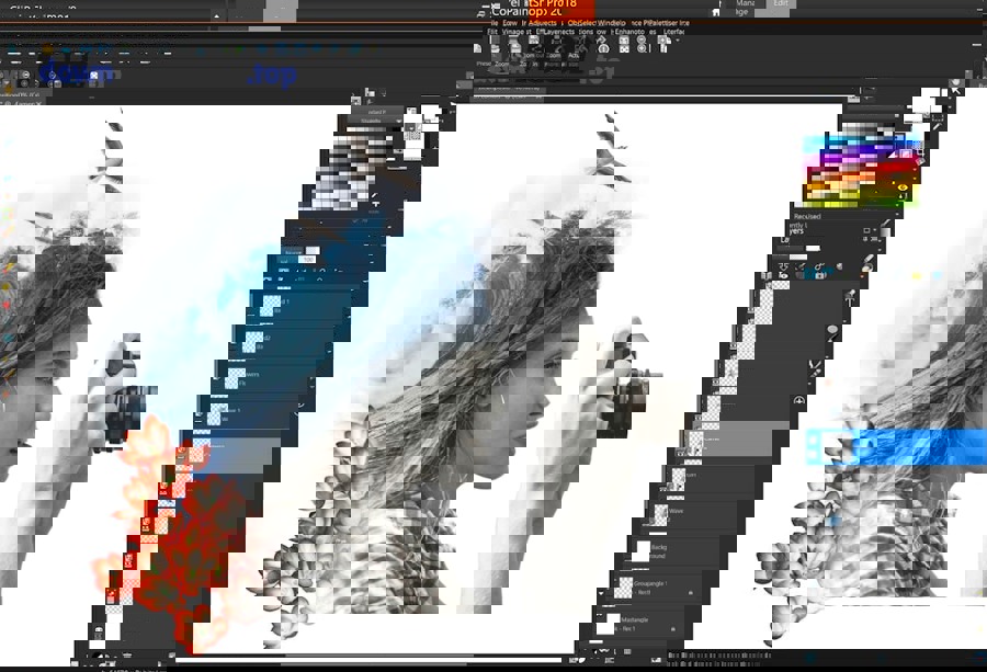 Người dùng nên chọn phần mềm miễn phí hay trả phí để làm thiết kế?