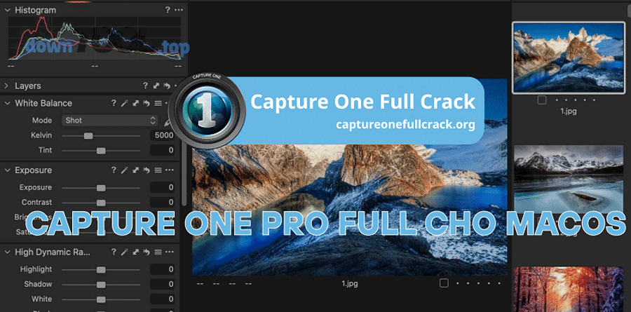 So sánh nhanh Trello vs Asana vs Jira: nên chọn cái nào cho nhóm nhỏ?