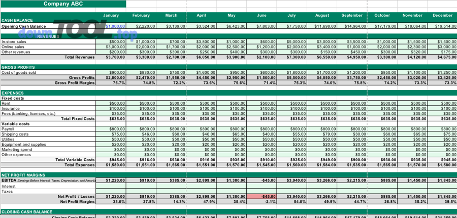 Ví dụ bảng dự phóng dòng tiền theo tháng dạng spreadsheet
