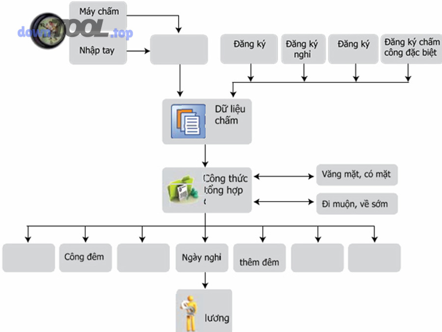 Tiêu chí chọn phần mềm HRM chấm công cho doanh nghiệp gồm những gì?
