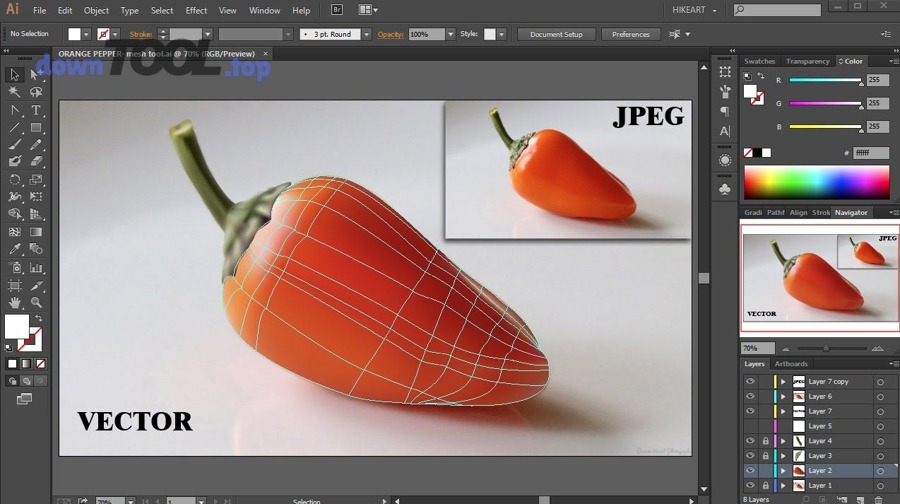 Những vấn đề pháp lý & kỹ thuật ít ai nói khi dùng phần mềm thiết kế logo là gì?