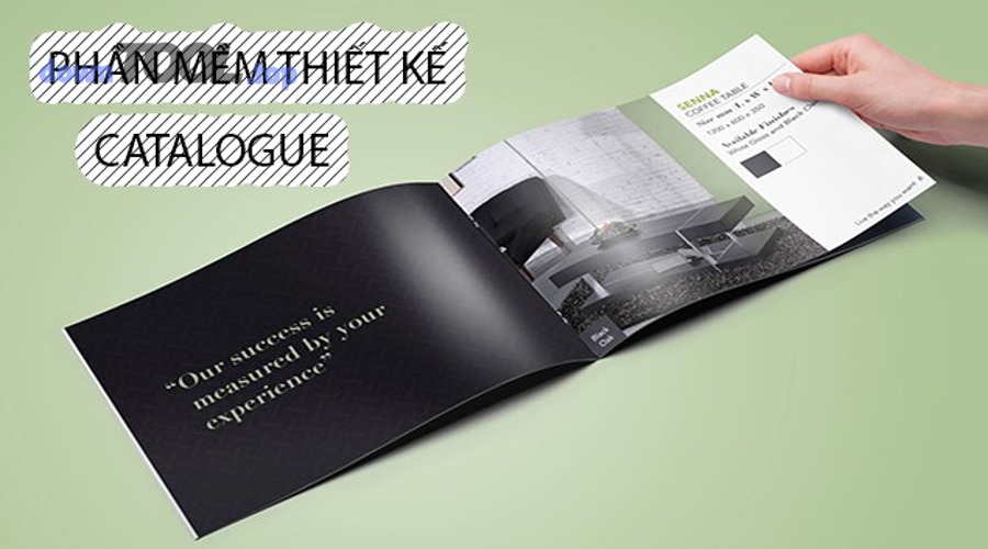 Người dùng nên chọn phần mềm thiết kế brochure theo tiêu chí nào để đúng nhu cầu?